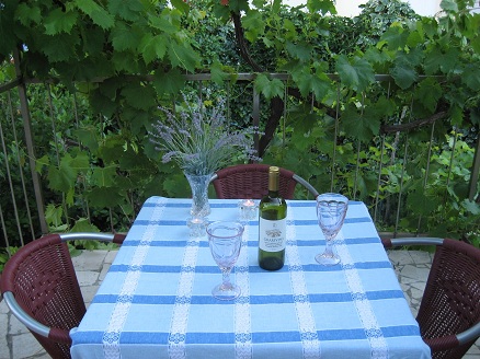 Backyard terrace with grapvines